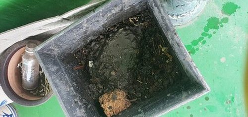 용산구 하수구막힘 서빙고동 하수구막힘, 반복 배수 지연의 현장 원인